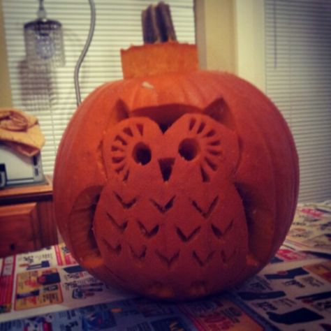 Owl pumpkin jack-o-lantern for fall Owl Jack O Lantern, Pumpkins Carving, Owl Pumpkin, Halloween 23, Carving Pumpkins, Pumpkin Designs, Pumpkin Carvings, Creative Pumpkins, Zucca Halloween