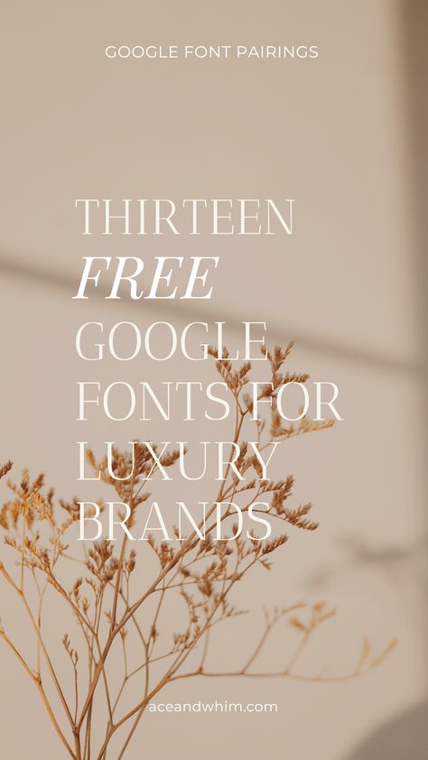 Google font pairings, cinzel, playfair display, italiana, cormorant garamond, bodoni moda, fraunces, prata, philosopher, unna, literata, tenor sans, yeseva one, vidaloka Boho Fonts Free, Didot Font Pairing, Best Google Fonts For Website, Free Google Font Pairings, Free Luxury Fonts, Luxury Google Fonts, Elegant Google Fonts, Google Fonts Combinations, Aesthetic Google Fonts