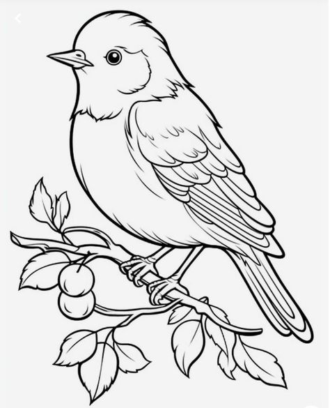 Bird Outlines Printable, Birds Coloring Pages For Kids, Bird Sitting On A Branch Drawing, Parrot Clipart Black And White, Bird Clipart Black And White, Hand Embroidery Art, Afro Art, Adult Coloring Pages, Embroidery Art