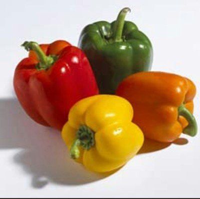 How Many Calories In Bell Pepper? Capsicum Annuum, Sweet Bell Peppers, Rose Plant, Hot Peppers, Pepper Seeds, Plant Seeds, Annual Flowers, Chili Peppers, Stuffed Sweet Peppers