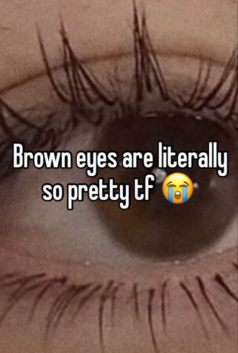 I have dark blue eyes but i wish i had warm brown eyes dude they are literally so pretty how do people hate them Nobody People With Brown Eyes, Your Eyes Are So Pretty, Brown And Blue Eyes, Blue And Brown Eyes, People With Brown Eyes, Dark Blue Eyes, Pretty Brown Eyes, Careless Whisper, Dark Brown Eyes