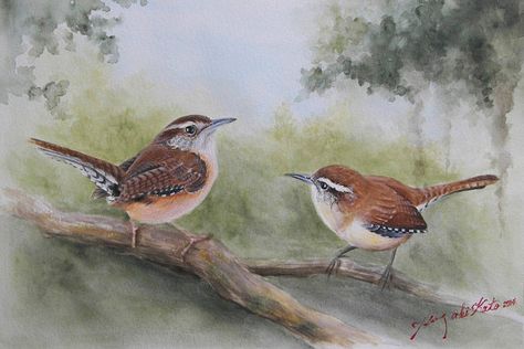 Original not print acrylic Carolina Wren in by MarshLandStudio Bird Sketches, Wren Bird, Carolina Wren, Painting Garden, Painted Birds, Bird Sketch, Bird Watercolor, Art Realism, Art Watercolor Painting