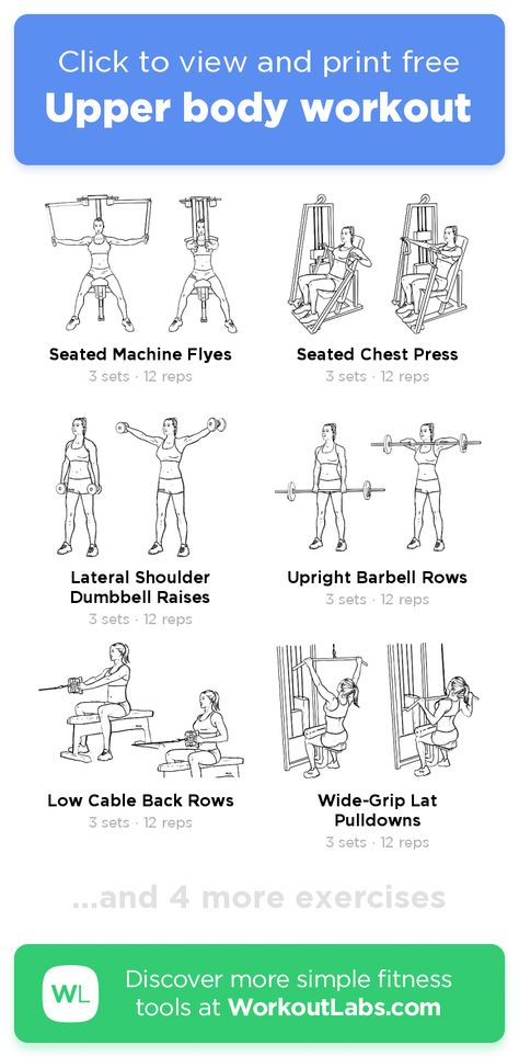 Upper body workout – click to view and print this illustrated exercise plan created with #WorkoutLabsFit Gym Planet Fitness, Upper Body Workout At Gym, Upper Body Workout Plan, Lower Body Workout Gym, Weight Machine Workout, Gym Beginners, Beginner Upper Body Workout, Upper Body Workout At Home, Upper Body Workout Gym