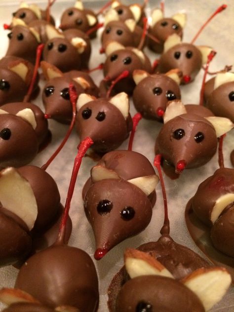 Little mice made from chocolate covered strawberry and Hershey's kiss Black Cherry Dessert Recipes, Strawberry Mice, Mouse Recipes, Chocolate Dipped Cherries, Cherry Recipes Dessert, Christmas Mice, Canned Cherries, Chocolate Covered Strawberry, Cherry Desserts