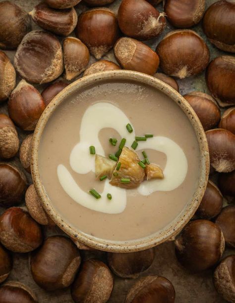 French Cream of Chestnut Soup (Potage aux Marrons) Forager Chef, Chestnut Soup, French Soup, Cold Weather Comfort Food, French Cream, Veg Soup, Foraged Food, Maple Sugar, Roasted Chestnuts