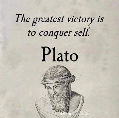 Ancient Quotes, Life Perspective, Plato Quotes, Stoicism Quotes, Stoic Quotes, Historical Quotes, Genius Quotes, Philosophical Quotes, Literature Quotes