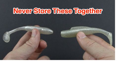 Never Store These Lures Together [Important Lure Storage Tip] » Salt Strong Fishing Club Saltwater Fishing Lures, Only In Texas, Salt Water Fishing, Fishing Videos, Tackle Box, Saltwater Fishing, Kayak Fishing, Soft Plastic, Fishing Tips