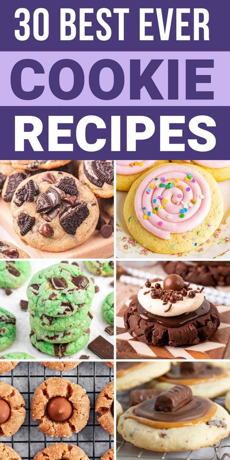 These are the best cookie recipes for any party, bake sale or gathering. This list includes easy cookies like mint chocolate chip, strawberry cheesecake, churro, Oreo chocolate chip, lemon shortbread, Twix, Crumbl copycat cookie dough, peanut butter blossoms, and confetti cake cookies. These cookies will be your new favorite desserts, they'er great for a crowd too. Simple Homemade Cookies, Fun Easy Cookies, Cheesecake Churro, Confetti Cake Cookies, Cookie Dough Peanut Butter, Cookie Pizza Recipe, The Best Cookie Recipes, Tollhouse Cookie Recipe, Crumbl Copycat