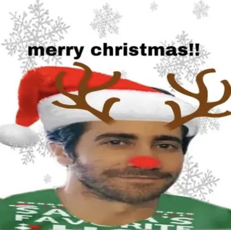 Jake Gyllenhaal Christmas, Jake Gyllenhaal Spiderman, Jake Gyllenhaal Funny, Jake Gyllenhaal Pfp, Jake G, Brokeback Mountain, Questions For Friends, Christmas Memes, Sigma Male