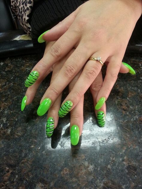 Green zebra Strip Zebra Acrylic Nails, Zebra Nail Designs, Zebra Nails, Nails Arts, Green Zebra, Beauty Makeup Tips, Nails Art, Beauty Inspiration, Acrylic Nails