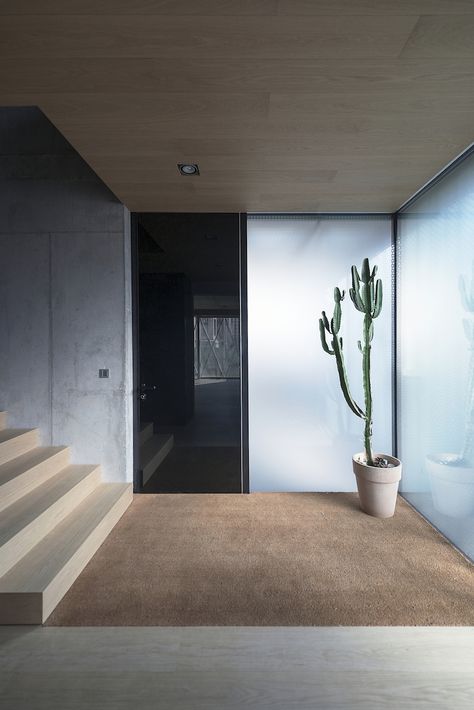 House Paint Color Combination, Ljubljana Slovenia, Casa Patio, Foyer Design, Concrete Wood, Modern Staircase, Minimalist Architecture, Ljubljana, Paint Colors For Home