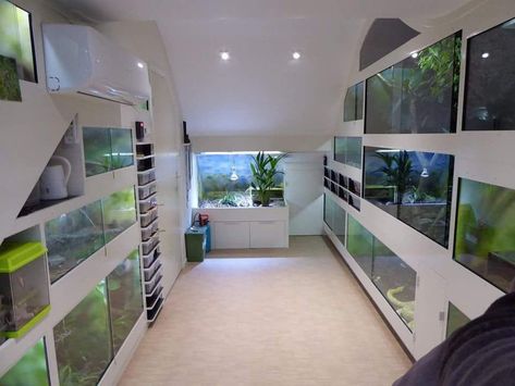 Reptile Rack, Snake Enclosure, Pet Room, Enclosure Ideas, Reptile House, Reptile Room, Fishing Room, Rabbit Cages, Pet Enclosure