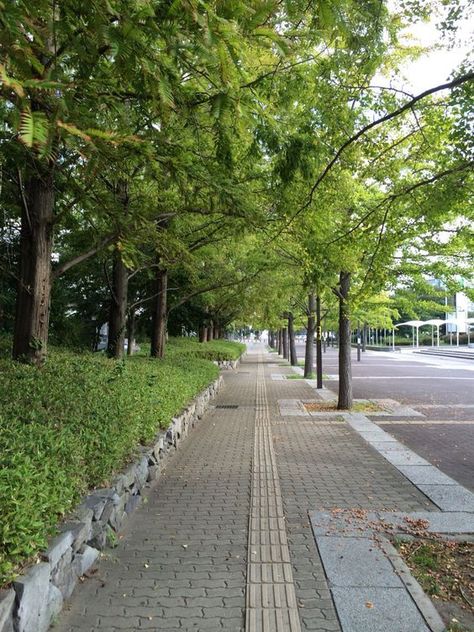 Urban Landscaping, Streetscape Design, Pavement Design, Urban Design Plan, City Decor, Facade Architecture Design, Street Trees, Park Landscape, Landscape Edging