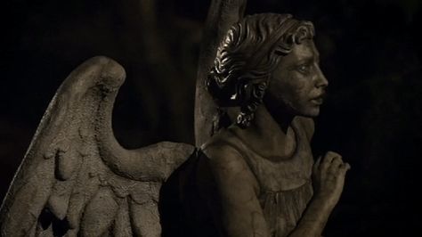 Doctor Who weeping angels The Fallen Angel, Weeping Angel, Minding My Own Business, Through Time And Space, Banner Gif, Wibbly Wobbly Timey Wimey Stuff, Arte Obscura, Good Doctor, Timey Wimey Stuff