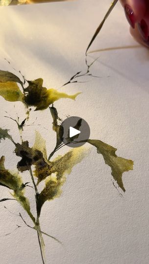 101K views · 454 reactions | freestyle watercolour stems and leaves 🍃

#watercolour #aquarelle #xieyistylefloral #pirouettestroke #originalartwork #canadianartist #torontoartist #pigmentsandmood | pigmentsandmood Vinessa Redford, Watercolor Crafts, Water Color Art, November 13, Watercolour Art, Flower Art Painting, Water Colors, Drawing Videos, Art Cards