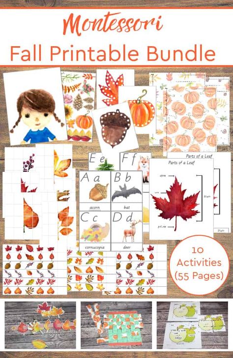 Montessori Curriculum, Montessori At Home, Montessori Printables, Montessori Lessons, Montessori Method, Montessori Homeschool, Homeschool Tips, Homeschool Room, Easy Fall Crafts