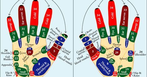 Acupressure Point Acupressure Points on the Feet and Hands. for details see Acupressure points description : ... Acupressure Points In Hand, Lymph Glands, Shiatsu Massage Acupressure, Meridian Points, Hand Reflexology, Reflexology Massage, Shiatsu Massage, Hand Massage, Acupuncture Points