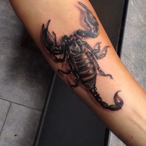 Tattoo of a black emperor scorpion by Yomico Moreno | Intenze ink Last Rites Tattoo, Emperor Scorpion, Scorpion Tattoos, Skull Rose Tattoos, Scorpion Tattoo, Rose Tattoos, Animal Tattoos, Scorpion, I Tattoo