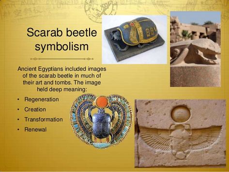 6th-egyptian-scarab-5-638 | Khepri Neteru | Flickr Scarab Meaning, Scarab Symbolism, Ancient Egypt Scarab, Ogham Tattoo, Scarab Amulet, Mythology Egyptian, Egypt Scarab, Ancient Egypt For Kids, Egyptian Beetle