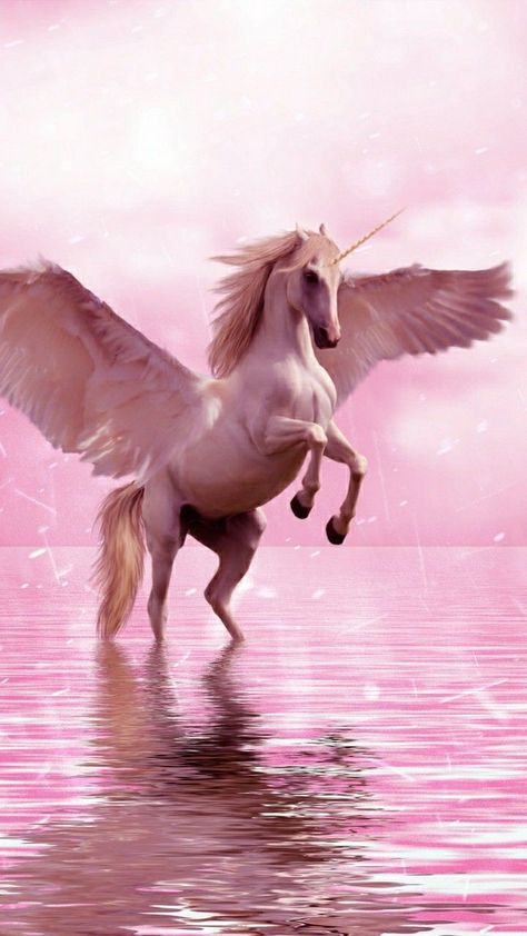 Unicorn Wings, White Unicorn, Water, White