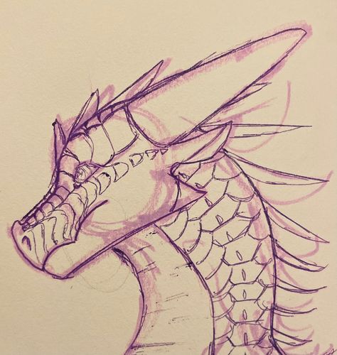 #dragon #nightwing #wof #sketch F2u Dragon Base, Wings Of Fire How To Draw, How To Draw Wof Dragons, How To Draw Dragon Wings, Mythical Creatures Sketches, How To Draw A Dragon Easy, Dragon Body Drawing, Wings Of Fire Sketches, Dragon Pencil Drawings