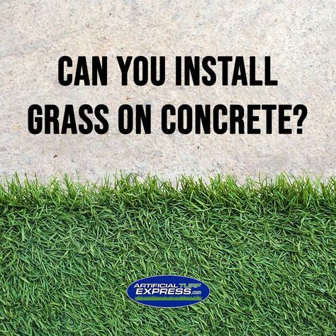 Short answer: Yes! Long answer: Yes! In fact, installing synthetic grass on concrete is easier than you think. Here are some tips and considerations for this type of DIY project. https://www.artificialturfexpress.com/blog/the-diy-guide-to-installing-the-best-artificial-turf-on-concrete Turf Over Concrete, Diy Artificial Turf, Laying Artificial Grass, Concrete Yard, Installing Artificial Turf, Pet Turf, Artificial Grass Installation, Artificial Lawn, Fake Grass