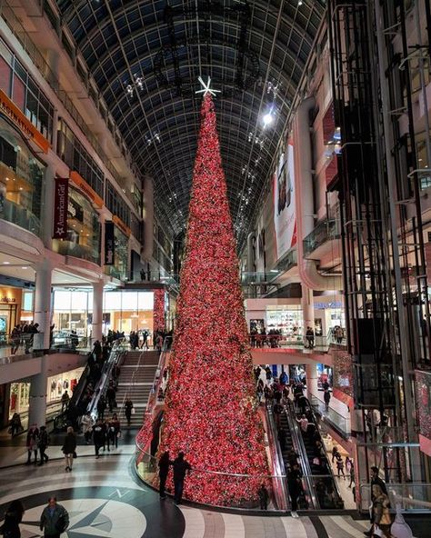 Travel on Instagram: "♥️🎄 Christmas in Toronto #christmaseve #christmasmood #lastminutegifts #christmasiscoming #christmasmagic #handmade #christmasgifts #christmasdecoration #elfideas #navidad #christmasinspo #christmaslover #christmaself #christmasdiy #christmasinspiration #homealone #holidaydecor #ilovechristmas #christmasparty #shoppingmall #festivevibes #christmasspirit #canada🇨🇦 #eatoncentre #holidayseason #holidays #julpynt #yyz #torontolife #toronto" Christmas In Toronto, Eaton Centre Toronto, Canada Christmas, Eaton Centre, Happy Christmas Eve, Toronto Life, Christmas Lovers, Christmas Inspo, Christmas Mood