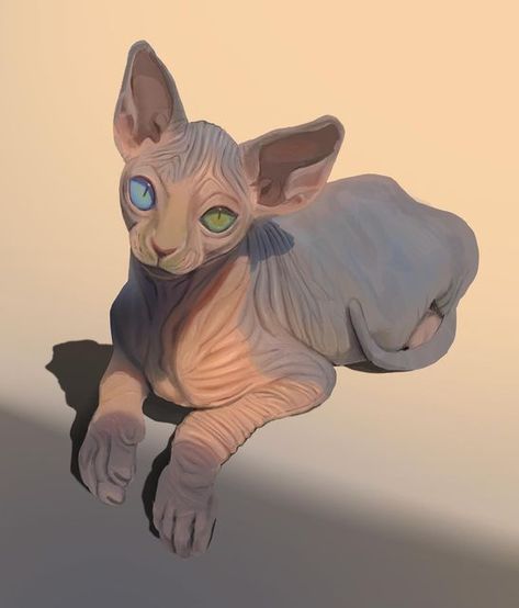 Digital Pet Portrait, Color Study, Hairless Cat, Cat People, S Art, Sphynx Cat, My Stuff, Color Studies, Support Artists