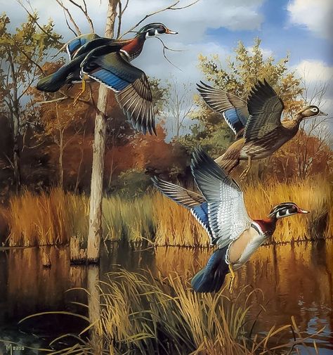 Hunting Wallpaper, Ducks Flying, Waterfowl Art, Hunting Painting, Hunting Art, Ducks Unlimited, Duck Art, Fashion Art Prints, Wildlife Prints