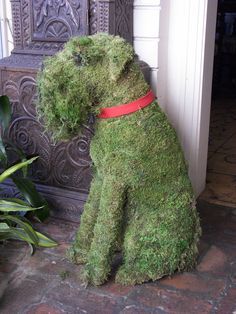 Urban Gardening Ideas, Schnauzer Art, Giant Schnauzer, Topiary Garden, Irish Terrier, Soft Coated Wheaten Terrier, Smell The Roses, Wire Fox Terrier, Urban Gardening