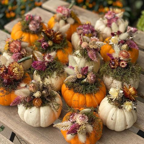 Pumpkins With Flowers, Thanksgiving Table Decor Ideas, Thanksgiving Floral, Thanksgiving Flowers, Canadian Thanksgiving, Pumpkin Arrangements, Thanksgiving Table Decor, Pumpkin Flower, Flower Business