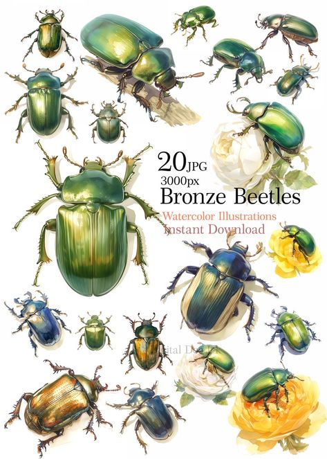 Watercolor Bronze Beetles clipart illustration isolated Beetle Art Illustration, Paper Beetle, Beetle Poster, Insects Illustration, Beetle Watercolor, Entomology Illustration, Beetle Drawing, Beetle Illustration, Aesthetic Pin