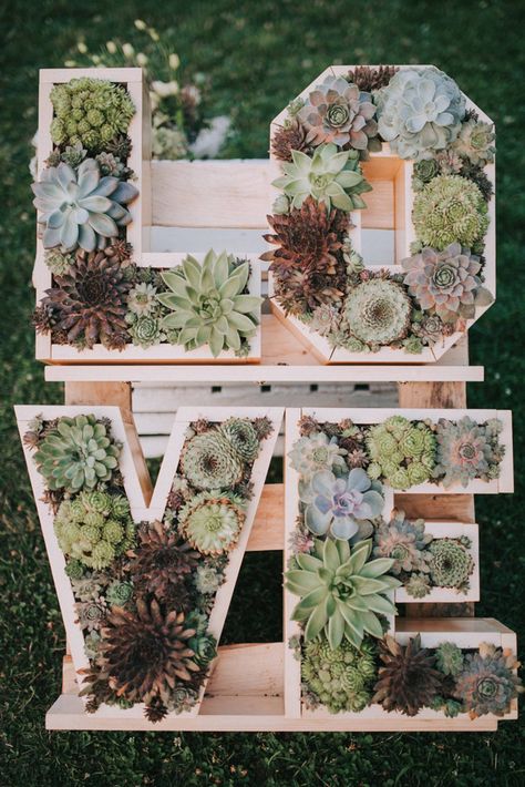 Succulent Wall Wedding, Succulents At Wedding, Succulent Wedding Ideas, Wedding Plant Decor, Build Your Own Succulent Bar, Succulent Wedding Theme, Succulent Themed Wedding, Wedding Plant Centerpieces, Cactus Themed Wedding