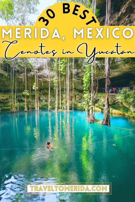 Discover the best cenotes in Mexico, best ceontes in Yucatan Peninsula & best cenotes near Merida Mexico — like Cenote Ik Kil, Cenonte Suytun, Cenote Calavera, Cenote Azul, Gran Cenote, Cenote Samula, and more! Things to do in Merida Mexico | Best cenotes Merida | Best cenotes near Merida Mexico | Best Yucatan cenotes | Best Mexico cenotes | Best cenotes Mexico | Best cenotes Merida | Best cenotes Yucatan Peninsula | Things to see in Merida Mexico | Merida day trips | Best day trips from Merida Things To Do In Merida Yucatan, Merida Travel, Suytun Cenote, Yucatan Cenotes, Mexico Cenotes, Mexico Merida, Cenotes Yucatan, Cenote Mexico, Cenotes Mexico