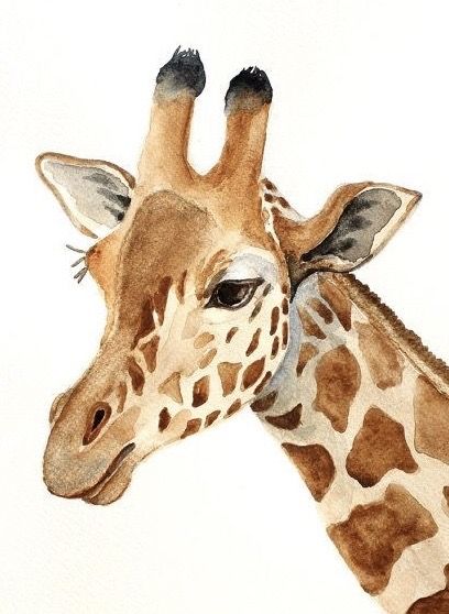 Giffafe Drawing, Girafe Drawings, Girrafe Aesthetic Drawing, Girafe Painting, Giraffe Drawing Realistic, Giraffe Painting Acrylic, Giraffe Drawings, Safari Drawing, Giraffe Paintings