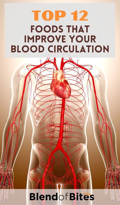 Blood Circulation Remedies, Prostate Health Men, Good Blood Pressure, Different Foods, Normal Blood Pressure, Poor Circulation, Health And Fitness Magazine, Daily Health Tips, Body Organs