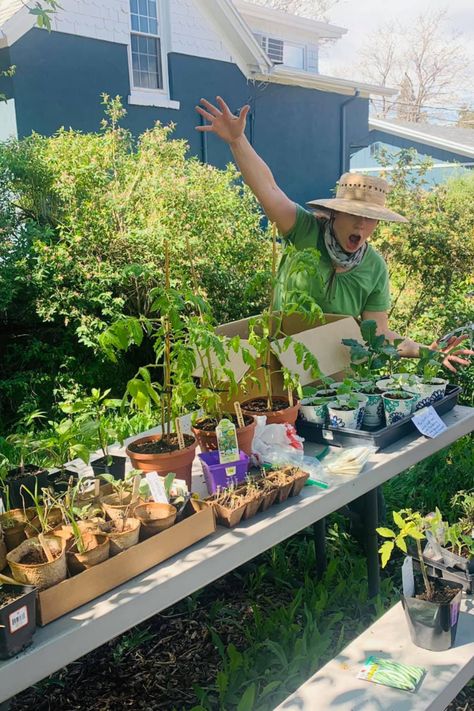 Start seeds and host a plant swap! Seed Swap Ideas, Seed Swap, Plant Swap, Seed Exchange, Swap Party, Starting Seeds, Swap Ideas, Vegetable Gardening, Seed Starting