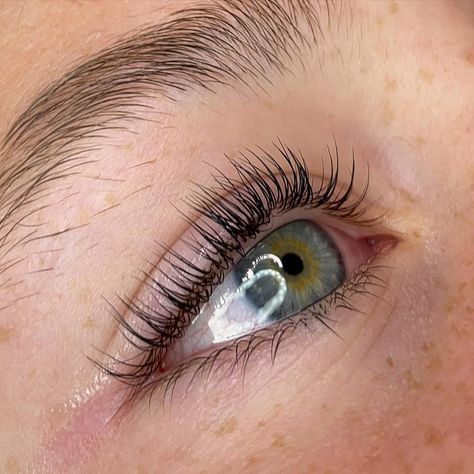 lash lift and tint goals 😍😍 lash lift and tint done on @_helenaschmoll <3 @thelashshop.ca - lash lift system @refectocil_international @refectocilnorthamerica - black tint #lashliftgoals #lashlift #lashlifting #lashliftandtint #lashlifts #lashliftingpro #lashlifttint #eyelashlift #eyelashlifting #eyelashliftandtint #eyelashlifts #lashtint #lashtinting #lashtintandlift #lashes #lasheslasheslashes #lashesonfleek #cleangirlaesthetic #cleangirllook #thelashshop #refectocill Lash Lift Aesthetic, Natural Lash Lift, Lash Tint And Lift, Jade Aesthetic, Brows Waxing, Eyelash Lift And Tint, Lash Lift And Tint, Lash Tint, Eyelash Lift