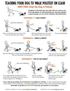 Malinois Training, Loose Leash Walking, Dog Info, Dog Hacks, Dog Care Tips, Training Your Puppy, Dog Obedience, Dog Training Obedience, Obedience Training