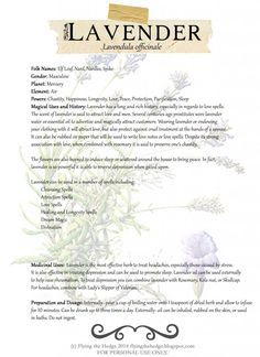 Free Lavendar BOS Page Magickal Herbs, Witch Herbs, Magia Das Ervas, Witch Garden, Magic Herbs, Magical Herbs, Illustration Botanique, Herbal Magic, Antique Bottles