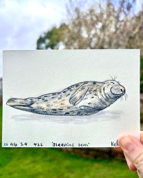 #day422 - A harbour seal - Why is it not in a sketchbook you ask? I wanted to test out some postcard size paper that I brought a while back and wanted to see how it fared. I’m thinking of creating some mini original for my Etsy shop with them. - - - - - #422 #harbourseal #seal #sealife #sealdrawing #sealillustration #sealart #postcardsizedart #wildlife #wildlifedrawing #wildlifeillustration #illustration #mixedmedia #testingoutpapers #mixedmediaart #illustrationartists #illustrator #origina... Harbour Seal, Seal Drawing, Drawing Colored Pencil, Nature Journaling, Harbor Seal, Nature Journal, Sealife, Illustration Artists, Postcard Size