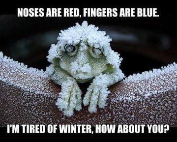 Stay Warm Quotes, Cold Weather Funny, Warm Quotes, Winter Humor, Badass Pictures, Funny Weather, Cute Good Morning Quotes, 7 Months, Funny Animal Pictures