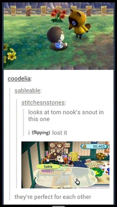 Thirty-Four 'Animal Crossing' Memes That May Waste More Time Than Resetti - Memebase - Funny Memes Tom Nook, Animal Crossing Funny, Ac New Leaf, Animal Crossing Fan Art, Animal Crossing Memes, Happy Home Designer, Animal Crossing Characters, Ship It, Animal Crossing Game