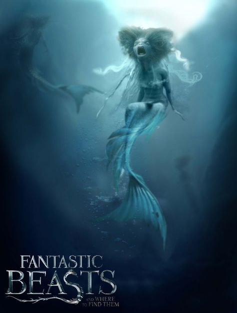 Harry Potter / Fantastic Beasts and where to find them Mermaids. Mermaid Fanart, Harry Potter Mermaid, Creature Movie, Evil Mermaids, Harry Otter, Harry Potter Print, Harry Potter Games, Mythical Monsters, Fantasy Mermaids