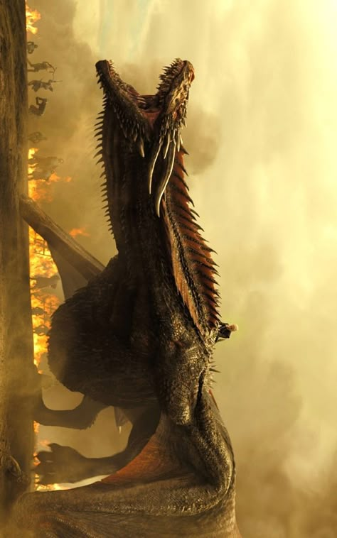 Game Of Thrones Wallpaper, Drogon Game Of Thrones, Game Of Thrones Poster, Wallpapers For Phone, Game Of Thrones Artwork, Wallpaper For Pc, Game Of Thrones Dragons, Got Dragons, Fire Book