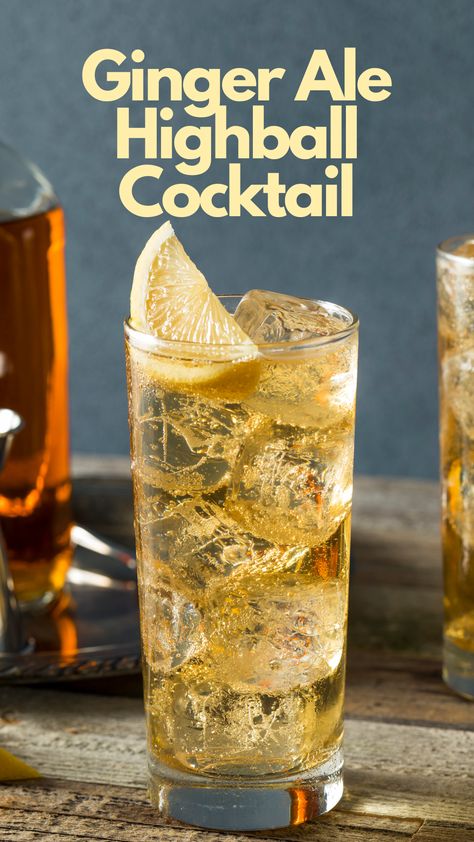 Ginger Ale Highball Cocktail Whiskey Highball, Whiskey And Ginger Ale, Ginger Ale Cocktail, Highball Cocktail, Cocktail Recipes Whiskey, Easy Summer Cocktails, Refreshing Summer Cocktails, Whiskey Ginger, Cocktails Recipes