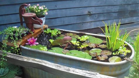 Old watering trough and hand pump well head become a fish pond with fountain Stock Tank Pond, Outdoor Fish Ponds, Hand Pump Well, Diy Solar Fountain, Container Water Gardens, Goldfish Pond, Water Trough, Backyard Pond, Garden Ponds