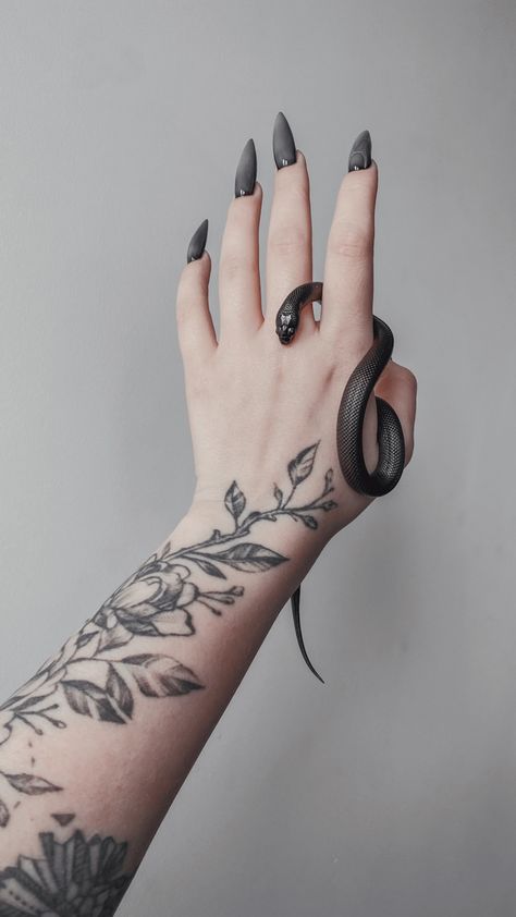 My young black mexican kingsnake called Freyja :) Mexican Black Kingsnake, Reptile Room, Jumping Spider, Black Snake, Snake Tattoo, Young Black, Tree Frogs, Tattoo Inspo, Pet Names