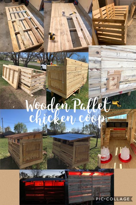 Pallet Chicken Coop, Pallet Coop, Easy Diy Chicken Coop, Chicken Coop Plans Free, Chicken Coop Pallets, Cute Chicken Coops, Chicken Coop Garden, Chicken Shed, Backyard Chicken Coop Plans