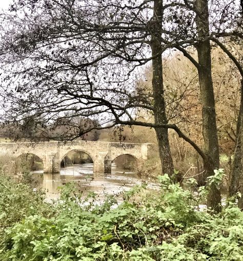 Meditation Retreat Day - In the Kent Countryside – Kerry life and loves Kent Countryside, Tree Lined Driveway, London Lifestyle, Meditation Retreat, Christmas Wreaths To Make, London Hotels, Smudge Sticks, Yoga Retreat, City Break